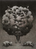 The Cloud