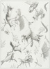 Endless Fragmentation (preliminary sketch)