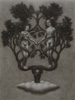Tree of Life