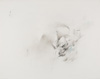 Untitled 1971 no.9d
