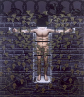 The Niche