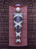 The Wall (Man)