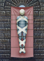 The Wall (Man)